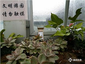 常用的溫度計是什么溫度計? 常用的溫度計是什么溫度計?