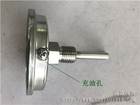 雙金屬溫度計充油主要目的是什么？