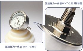 溫度計(jì)壓力表一體的儀表有嗎?