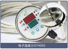 電子溫度計 電子溫度計
