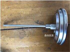 雙金屬溫度計的標準長度與定制選項 雙金屬溫度計的標準長度與定制選項