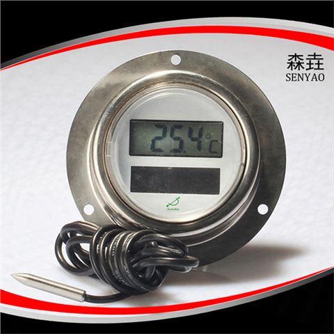 后法蘭太陽能電子溫度計