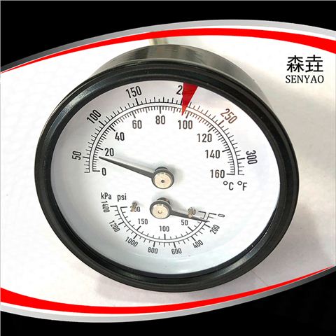 加長型接頭溫度壓力一體表