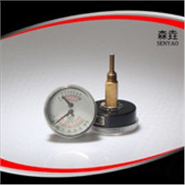 溫度壓力一體表 型號：WHT-2B