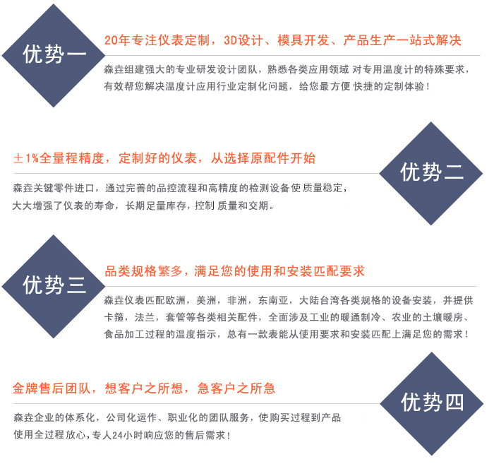 森垚——打造您企業(yè)的專屬儀表