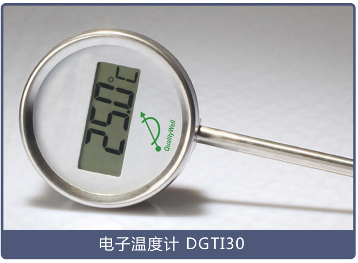 電子溫度計DGTI30