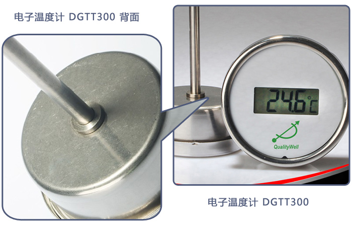 電子溫度計DGTT300