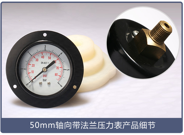 50mm軸向帶法蘭壓力表