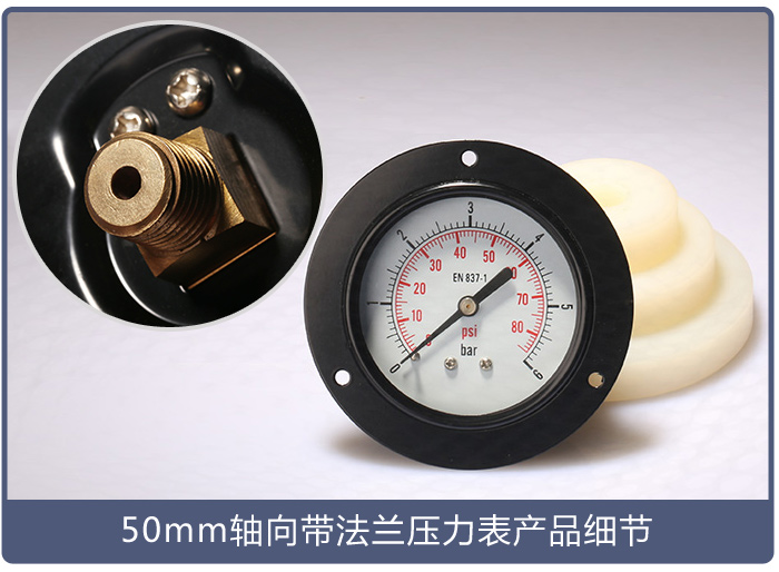 50mm軸向帶法蘭壓力表