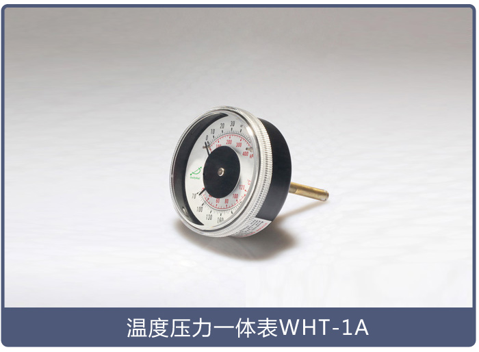 溫度壓力一體計WHT-1A