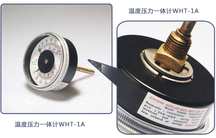 溫度壓力一體計WHT-1A