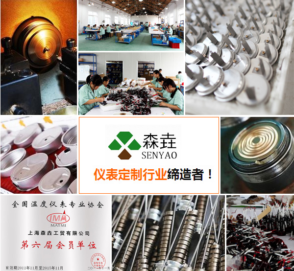 上海森垚工貿有限公司