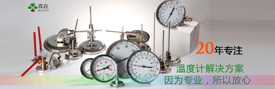森垚儀表20年專注溫度計定制.jpg 森垚儀表20年專注溫度計定制.jpg