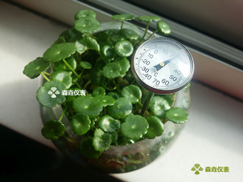 水培溫度計.jpg