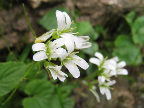 09-04-59-45-6355.jpg 09-04-59-45-6355.jpg