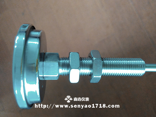 雙金屬溫度計帶2片螺母固定2.jpg 雙金屬溫度計帶2片螺母固定2.jpg