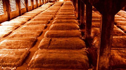 用來(lái)測(cè)量窖池的雙金屬溫度計(jì)