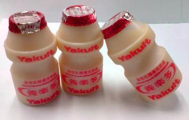 冰柜溫度計保護乳酸菌存活