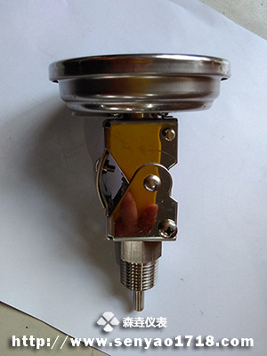 超短探桿定制款太陽能電子溫度計.jpg 超短探桿定制款太陽能電子溫度計.jpg