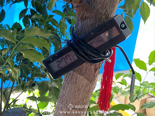 你知道上海幾月份最適合旅游嗎？