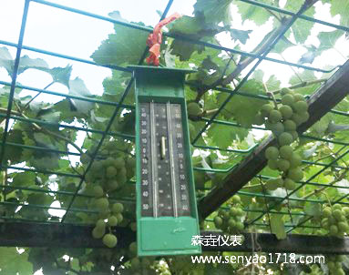 大棚蔬菜種植離不開大棚溫度計