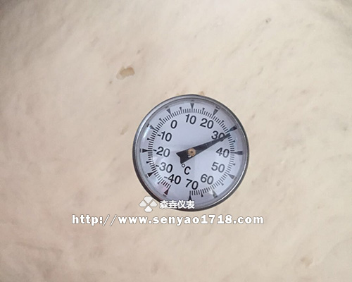 家常做饅頭用哪款溫度計 家常做饅頭用哪款溫度計