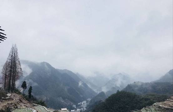 森垚儀表臨安行-2019年春節天目山登高 (2).jpg 森垚儀表臨安行-2019年春節天目山登高 (2).jpg