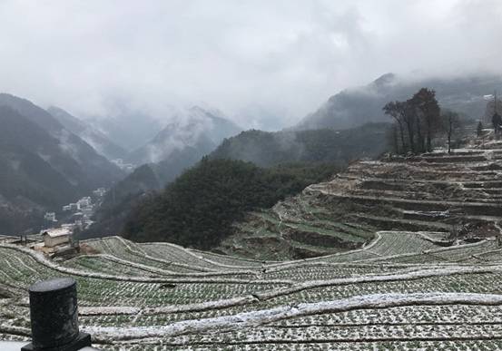 森垚儀表臨安行-2019年春節天目山登高 (3).jpg 森垚儀表臨安行-2019年春節天目山登高 (3).jpg