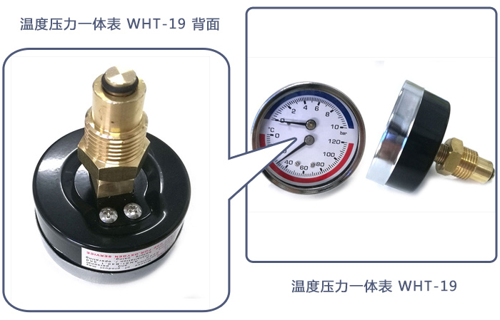 溫度壓力一體表 型號:WHT-19 (1).jpg