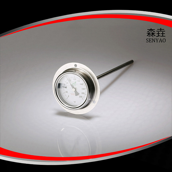 帶后法蘭雙金屬溫度計