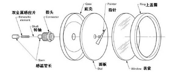 雙金屬溫度計的內部結構