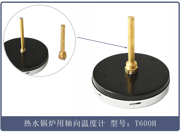 熱水鍋爐用軸向溫度計T600H (2).jpg