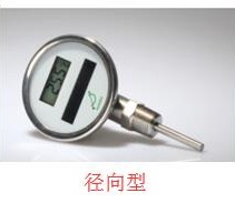 電子溫度計 電子溫度計