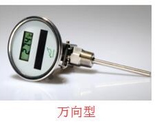 電子溫度計 電子溫度計