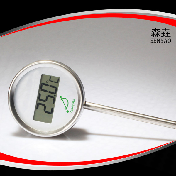 徑向全不銹鋼電子溫度計 型號:DGTI300 徑向全不銹鋼電子溫度計 型號:DGTI300
