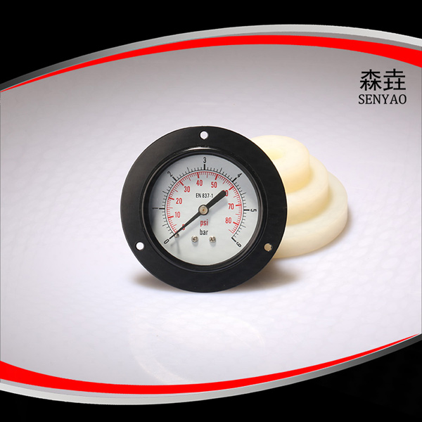 軸向帶法蘭壓力表 型號:EPG200DHFPG 軸向帶法蘭壓力表 型號:EPG200DHFPG