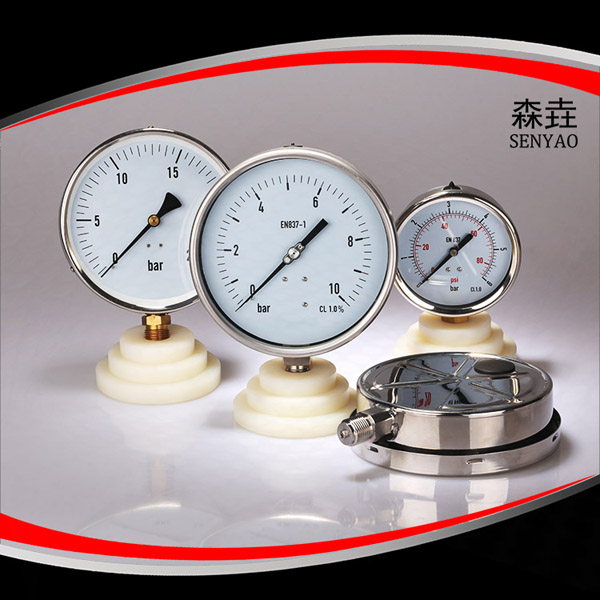 徑向充油壓力表 型號:PG600A(B)VNEGT 徑向充油壓力表 型號:PG600A(B)VNEGT