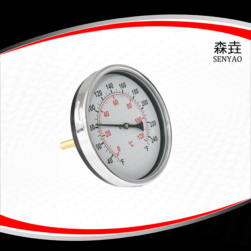 熱水鍋爐用軸向溫度計 型號:T600H 熱水鍋爐用軸向溫度計 型號:T600H