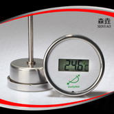 軸向全不銹鋼電子溫度計 型號:DGTT300 軸向全不銹鋼電子溫度計 型號:DGTT300