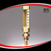 V型船用溫度計(jì) 型號(hào):SKA V型船用溫度計(jì) 型號(hào):SKA