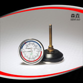 溫度壓力一體表 型號:WHT-6 溫度壓力一體表 型號:WHT-6