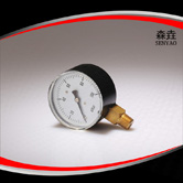 徑向微壓表 型號:221LVDAN 徑向微壓表 型號:221LVDAN