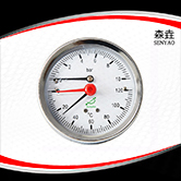 溫度壓力一體表  型號:WHT-20 溫度壓力一體表  型號:WHT-20