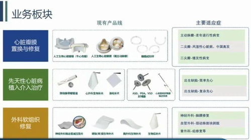 心臟的閥門壞了怎么辦 這家科創板企業創始人30年潛心“補心”，六大產品填補國內空白